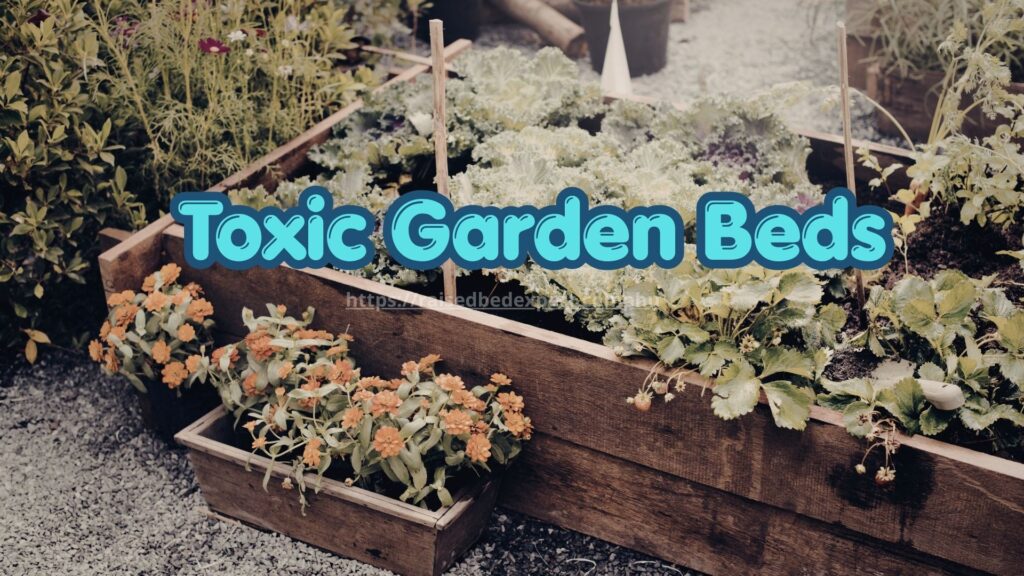 Toxic Garden Beds
